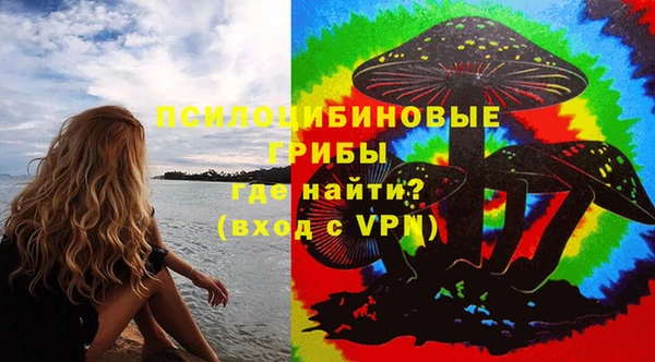 PSILOCYBIN Бронницы