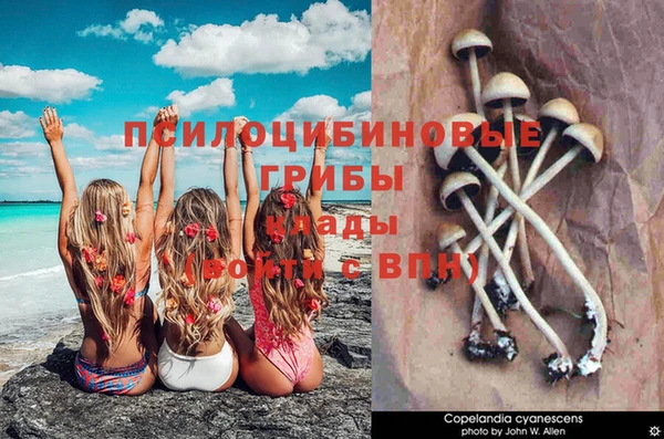метадон Бородино