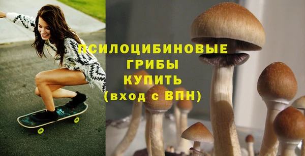 эйфоретик Бугульма
