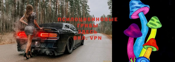 эйфоретик Бугульма